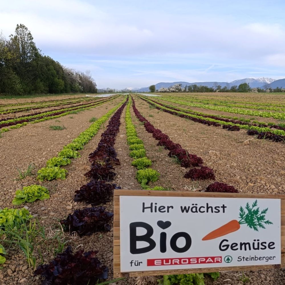 Bio Gemüse für EUROSPAR